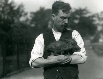 Keeper Harry Warwick vugger et vortesvin i armene i London Zoo, august 1922 av Frederick William Bond