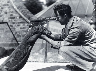 Komodo-dragen Sumbawa med keeper H. Alec Budd, 1928 av Frederick William Bond