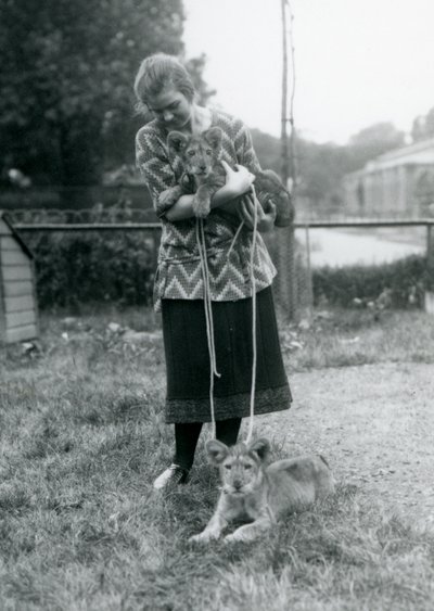 To løveunger med en ung kvinne i London Zoo i august 1925 av Frederick William Bond