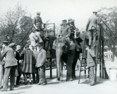 Besøkende som står i kø for en elefanttur mens andre legger ut, med hjelp av fem voktere, London Zoo, 1927 av Frederick William Bond