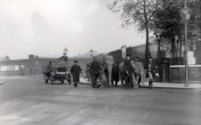 Å gå et par elefanter fra bryggene i 1923 til ZSL London Zoo, siste gang dette ble gjort av Frederick William Bond