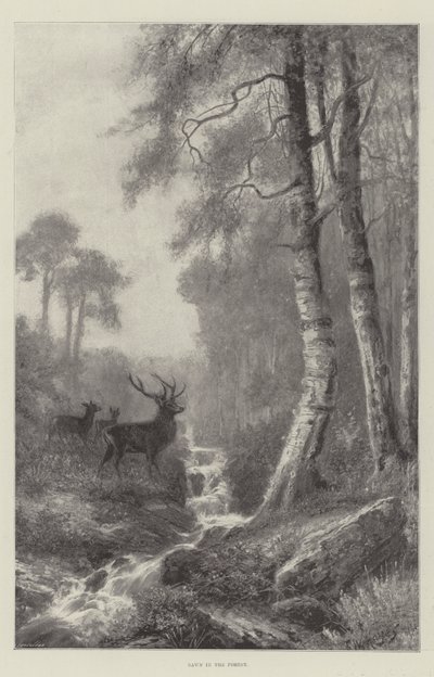 Daggry i skogen av Frederick William Hayes