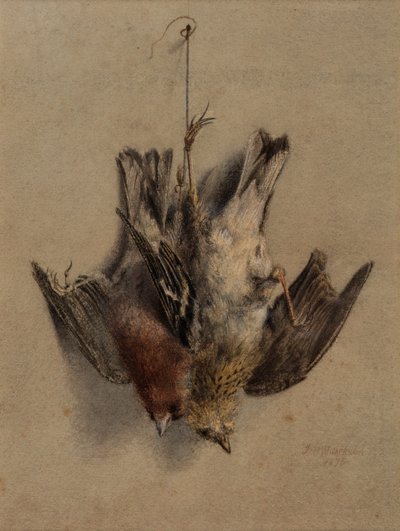  av Frederick William Jackson