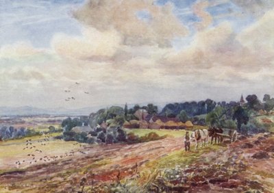 Sulten Grafton av Frederick William Newton Whitehead