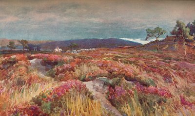 On The Heath Lytchett Minster, c1904 av Frederick William Newton Whitehead