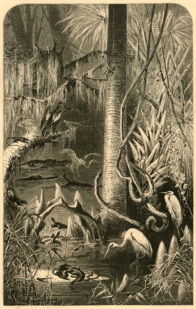 'A Florida Swamp', 1872. av Frederick William Quartley