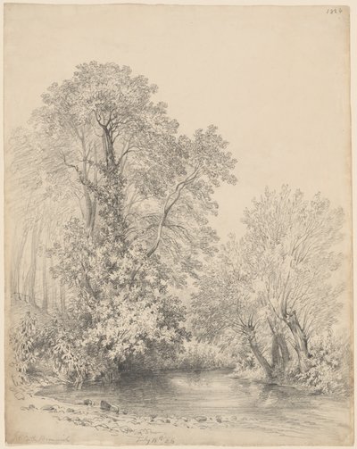 Trær ved elven på Castle Bromwich av Frederick William Watts