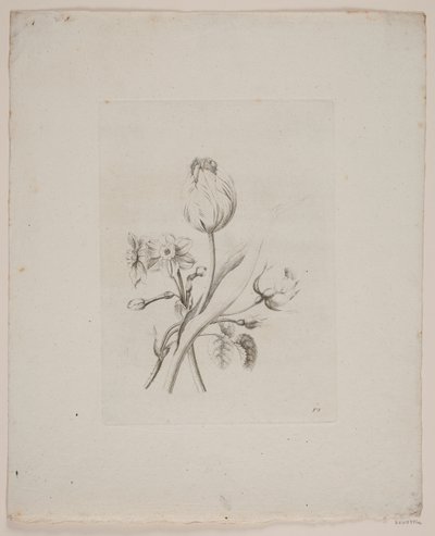 Blomstermotiv av Frederik Schepelern
