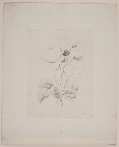 Blomstermotiv av Frederik Schepelern