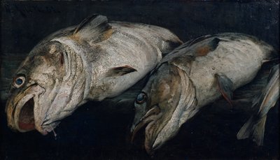 Torsk av Fredrik Kolstoe