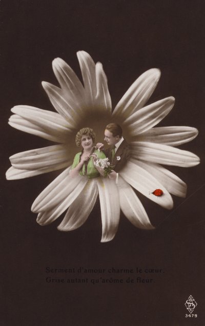 Et ungt par i midten av en blomst med marihøne (tonet fotokollasje) av French Photographer