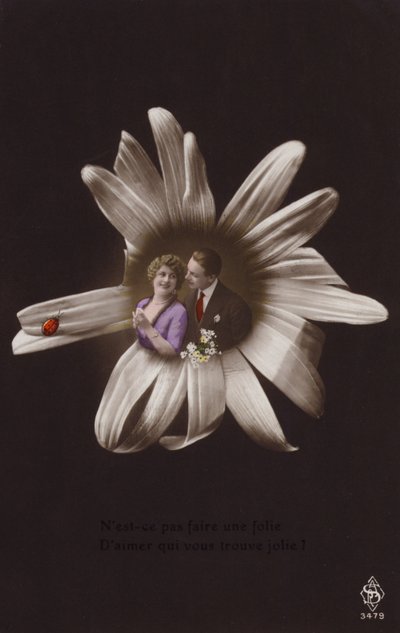 Et ungt par i midten av en blomst med marihøne (tonet fotokollasje) av French Photographer