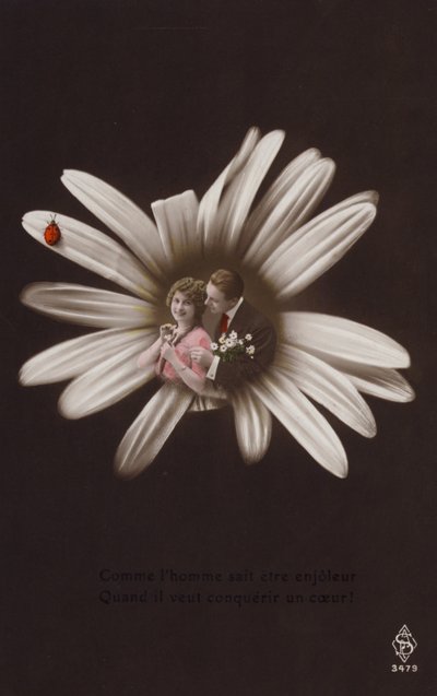 Et ungt par i midten av en blomst med marihøne (tonet fotokollasje) av French Photographer