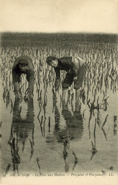 Arcachon, Oyster Park av French Photographer