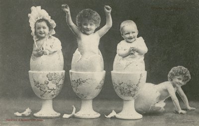 Babyer som klekkes fra egg i eggekopper (s/hvitt bilde) av French Photographer