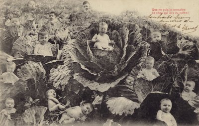 Babyer i kållappen (fotokollasje) av French Photographer