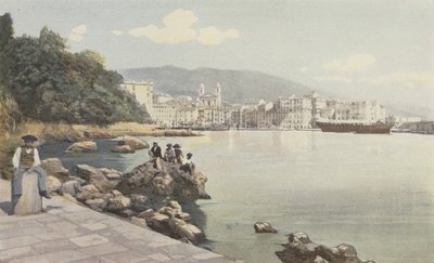 Bastia, utsikt over den gamle havnen og byen av French Photographer