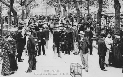 Fuglemarked, Paris av French Photographer