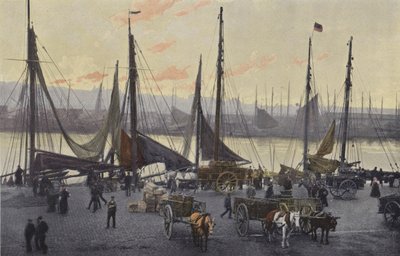 Boulogne-sur-Mer, Forberedelser for sildefiske av French Photographer