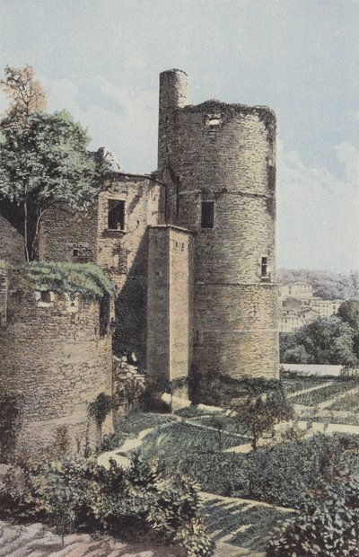Clisson, Towers and pit av French Photographer