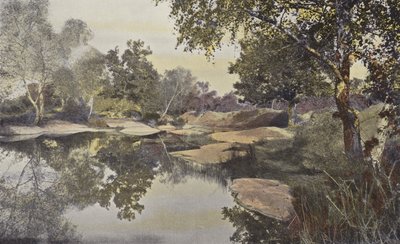 Fontainebleau, Forest, Mare de Franchard av French Photographer
