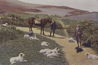 Rypeskyting i Skottland (fargebilde) av French Photographer