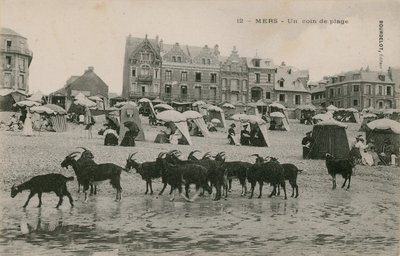 Mers - en del av stranden. Postkort sendt i 1913. av French Photographer
