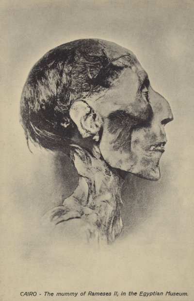 Mamma av Ramesses II av French Photographer