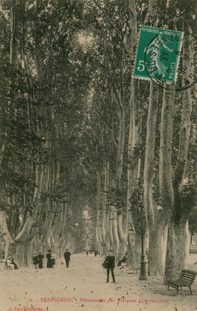 Promenade av platantrærne i Perpignan. Postkort sendt i 1913. av French Photographer