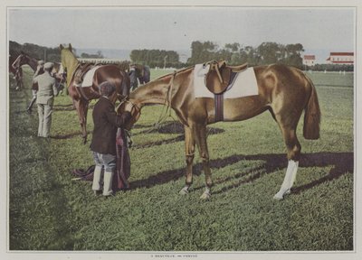 Veddeløpshester i Deauville, Frankrike (fargebilde) av French Photographer