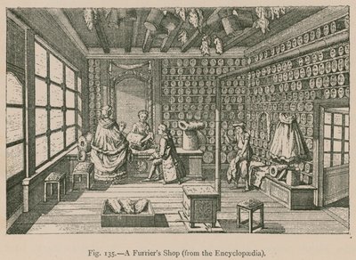 A Furrier Shop (fra Encyclopaedia) av French School
