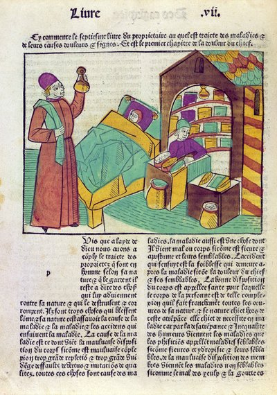 En pasient med en lege og en farmasøyt, fra Le Livre des Proprietes des Choses av Barthelemy lAnglais, 1485 (fargetresnitt) av French School