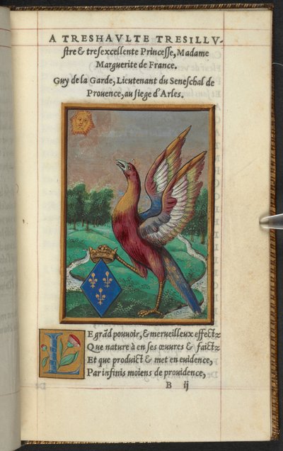 En føniks, fra The History and Description of the Phoenix, etc. Guy of the Guard av French School