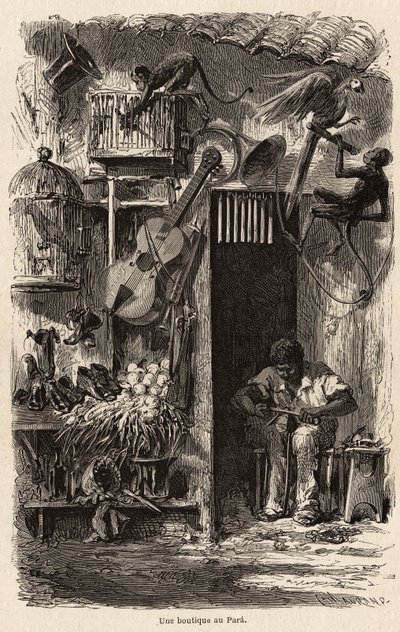 En butikk på Para, illustrasjon for Mr.Biards tur til Brasil i 1858-1859. Gravering i “” Le tour du monde”” 1861. Selvas samling. av French School