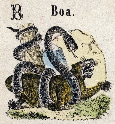 Abecedary. Bokstav B som Boa. Lite encyklopedisk alfabet, populær serie. Epinal avbildning, slutten av 1800-tallet av French School