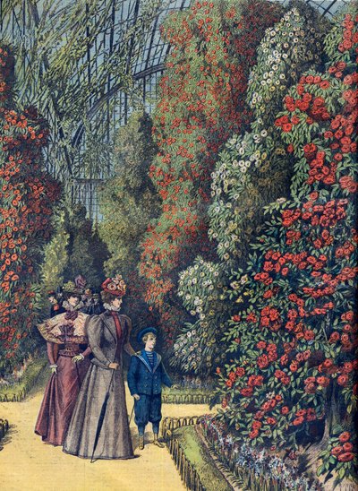 Akklimatiseringshage - Kameliadrivhus i en botanisk hage av French School