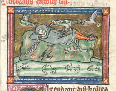 Legge til. 10292, f.29 En sovende mann omgitt av fugler, illustrasjon fra 