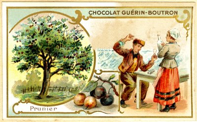 Reklamekromolitografi av Guérin Boutron-sjokolade (kromolitografi) av French School