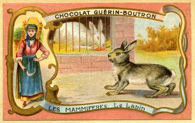 Reklamekromolitografi av sjokolade Guerin Boutron, Pattedyr, Kaninburet og vill, warren av French School