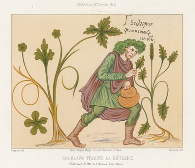 Aesculapius oppdager betoni av French School