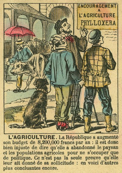 Landbruk illustrerer fordelene med Den tredje republikk på landbruksinvesteringer og dens bekymring for bondebefolkningen. Gravering, i "" Le Figaro, supplement"", 30.03.1889, Paris. Coll. Selva. av French School