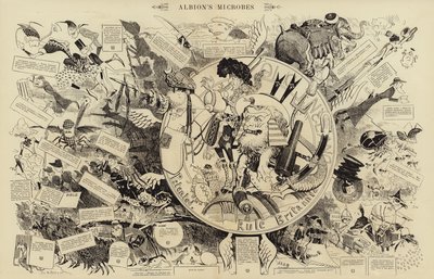 Albions mikrober (gravering) av French School
