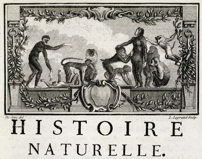 Allegori om naturhistorie på apene - i "" Natural, generell og spesiell historie"" av Buffon av French School