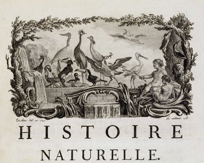 Allegory of Natural History on Birds - in "" Natural, General and Particular History"" av Buffon av French School