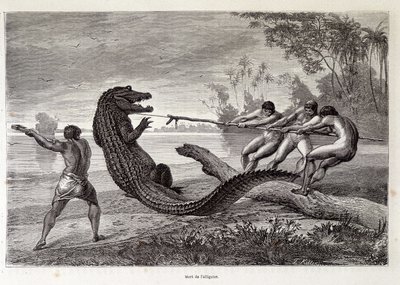 Alligator Hunt, Brasil, "" Round the World"" 2. uke 1874. av French School