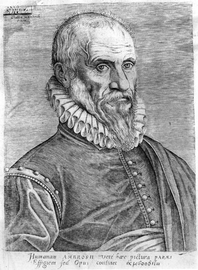 Ambroise Paré (1509–1590). av French School