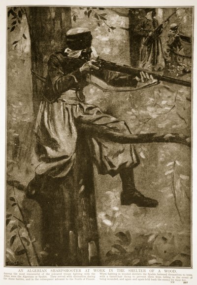 En algerisk skarpskytter på jobb i ly av en skog, 1914-19 av French School