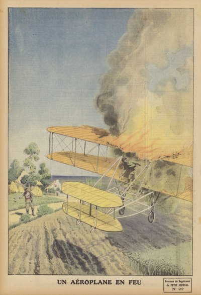 Et fly i brann (farge litho) av French School