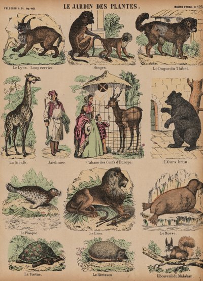 Dyr fra Jardin des Plantes, Paris, Frankrike av French School