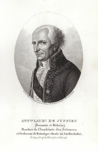 Antoine Laurent de Jussieu av French School